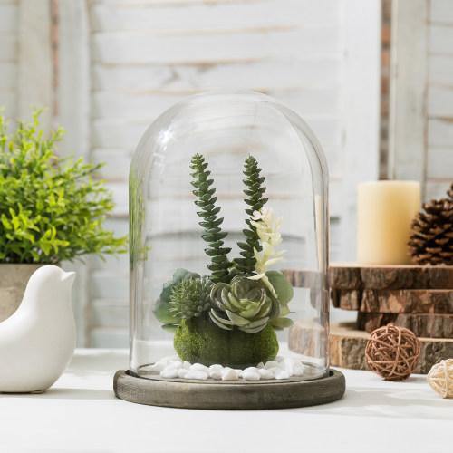 Clear Glass Cloche with Gray Wood Base - MyGift