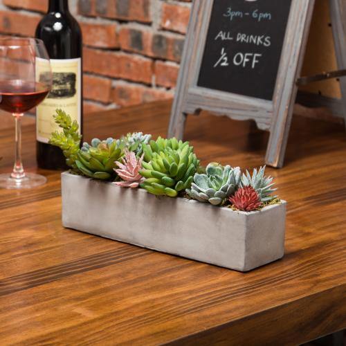 Faux Succulent Plants in Gray Cement Pot - MyGift