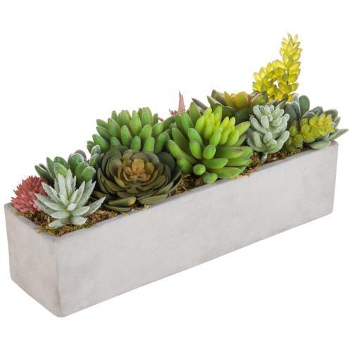 Faux Succulent Plants in Gray Cement Pot - MyGift