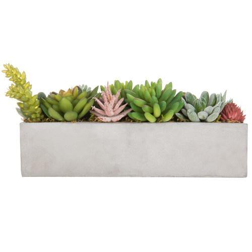 Faux Succulent Plants in Gray Cement Pot - MyGift