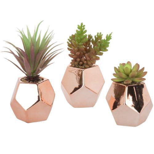 Artificial Succulents in Rose Gold Ceramic Planters, Set of 3 - MyGift