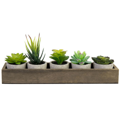 Artificial Succulent Plants in Cement Pots w/ Brown Wood Planter Box-MyGift