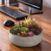 minimalist succulent planter Minimalist Round Gray Cement Succulent Planter Bowl, 8 Inch Size – MyGift