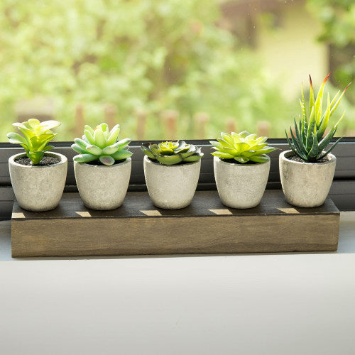 Artificial Succulent Plants in Cement Pots w/ Brown Wood Planter Box-MyGift