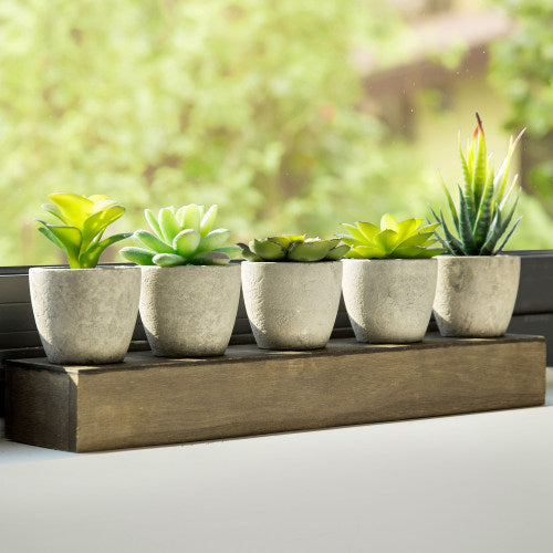 Artificial Succulent Plants in Cement Pots w/ Brown Wood Planter Box-MyGift