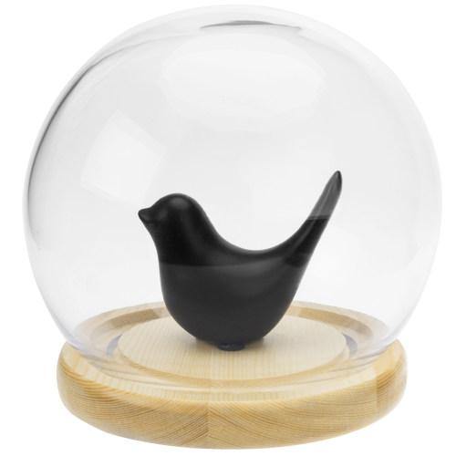 Glass Terrarium & Globe Cloche with Natural Beige Wood Base - MyGift
