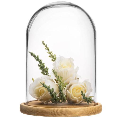 Clear Glass Cloche with Light Brown Wood Base - MyGift