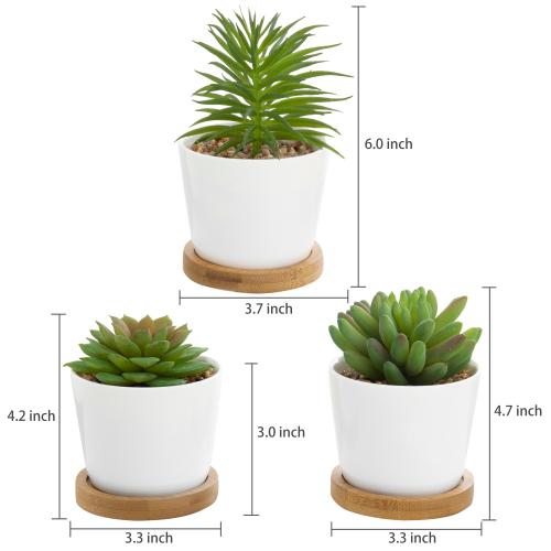 size of pot for succulent Mini Artificial Succulents in White Ceramic Pots w/ Bamboo Saucers, Set of 3