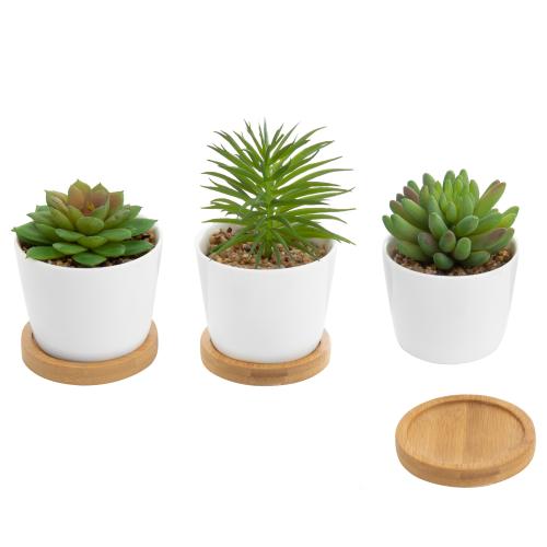 Mini Artificial Succulents in White Ceramic Pots w/ Bamboo Saucers, Set of 3-MyGift
