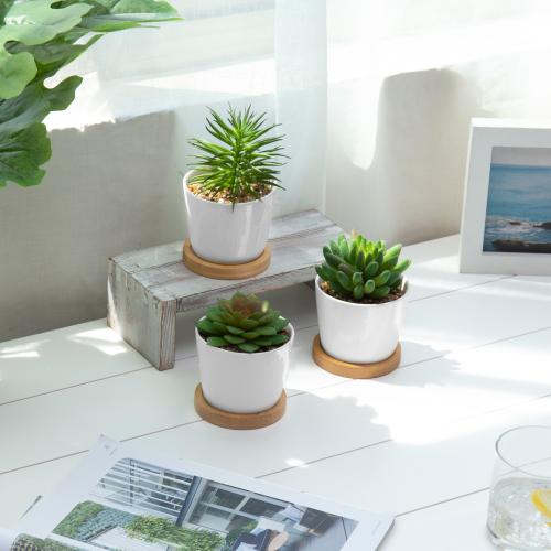 succulent plant dishes Mini Artificial Succulents in White Ceramic Pots w/ Bamboo Saucers, Set of 3