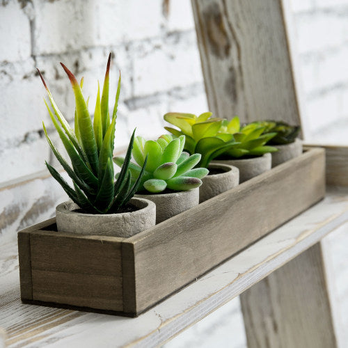 Artificial Succulent Plants in Cement Pots w/ Brown Wood Planter Box-MyGift