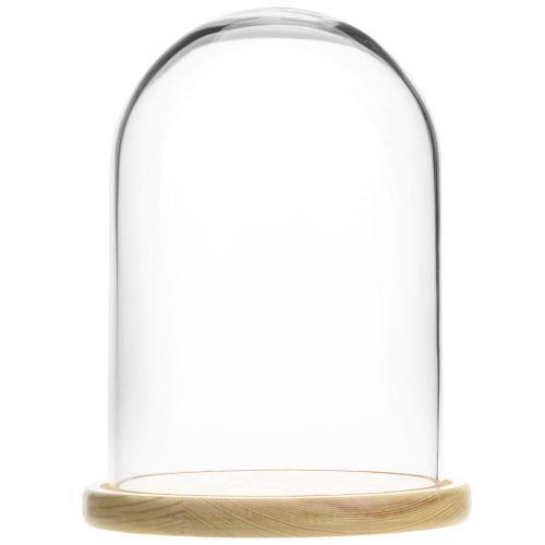 Clear Glass Cloche with Beige Wood Base - MyGift