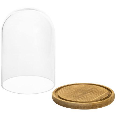 Clear Glass Cloche with Light Brown Wood Base - MyGift