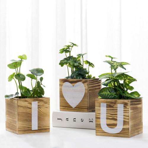 "I Love You" Design Burnt Solid Wood Flower Pots - MyGift