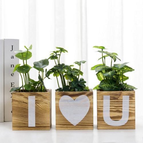 "I Love You" Design Burnt Solid Wood Flower Pots - MyGift