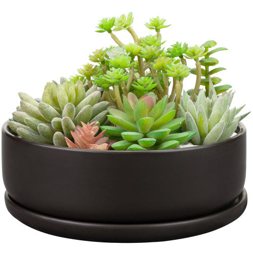 Modern Round Brown Ceramic Succulent Planter w/ Saucer-MyGift