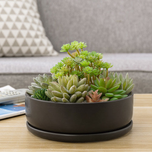 Modern Round Brown Ceramic Succulent Planter w/ Saucer-MyGift