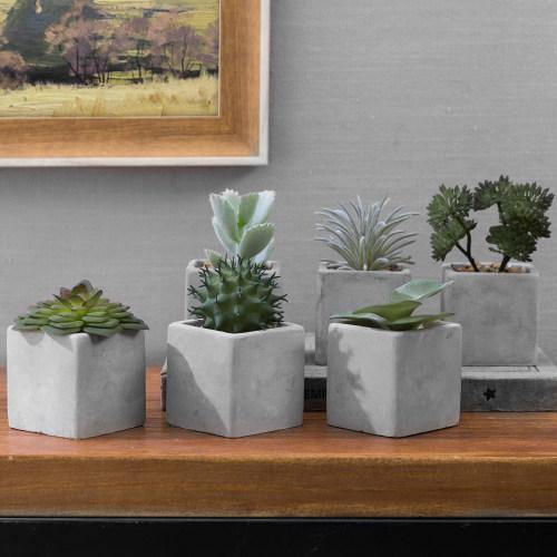 Artificial Mini Succulent & Cactus Plants with Gray Cement Pots, Set of 6 - MyGift