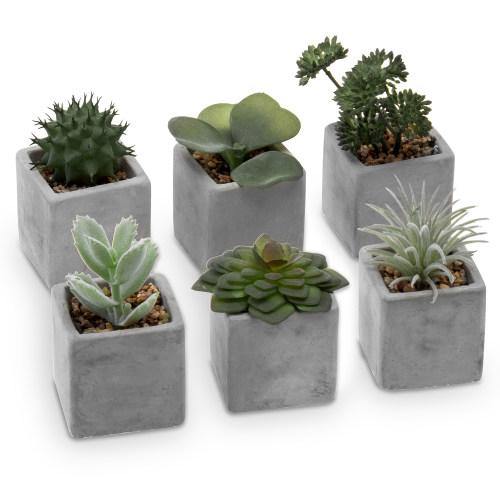 Artificial Mini Succulent & Cactus Plants with Gray Cement Pots, Set of 6 - MyGift