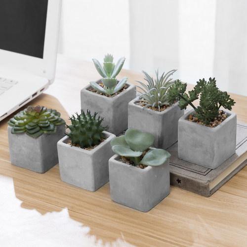 Artificial Mini Succulent & Cactus Plants with Gray Cement Pots, Set of 6 - MyGift