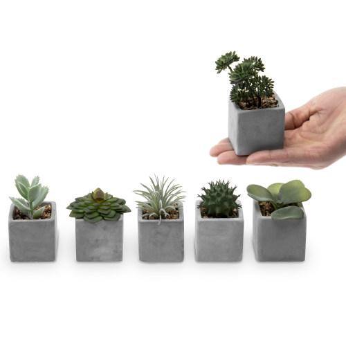 Artificial Mini Succulent & Cactus Plants with Gray Cement Pots, Set of 6 - MyGift