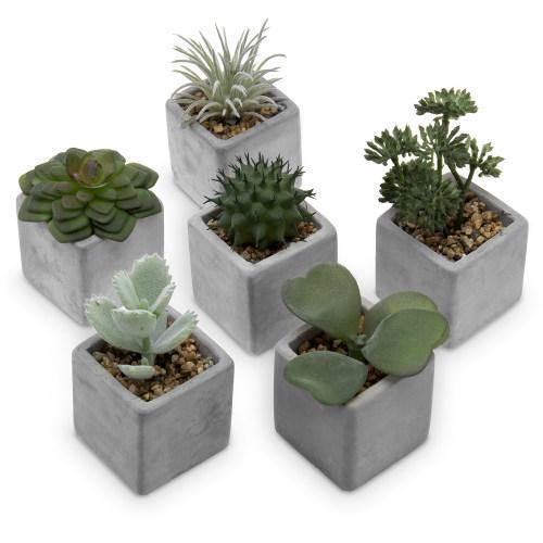 Artificial Mini Succulent & Cactus Plants with Gray Cement Pots, Set of 6 - MyGift