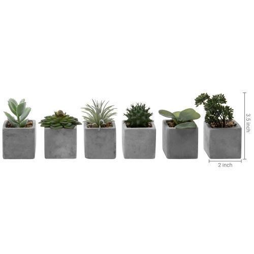 Artificial Mini Succulent & Cactus Plants with Gray Cement Pots, Set of 6 - MyGift