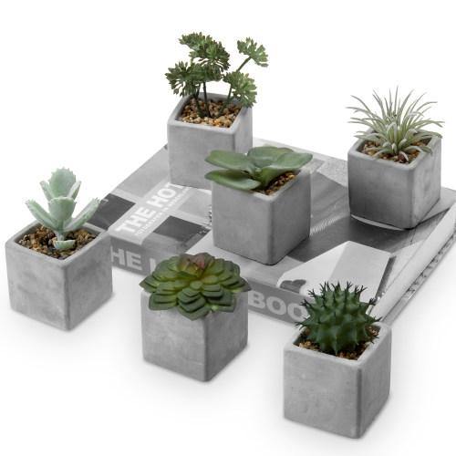Artificial Mini Succulent & Cactus Plants with Gray Cement Pots, Set of 6 - MyGift