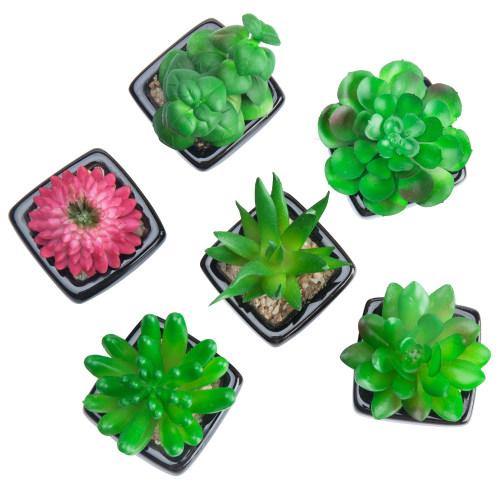 Artificial Succulent Plants in Black Ceramic Pots, Set of 6 - MyGift