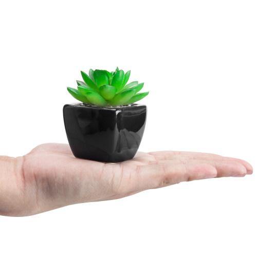 Artificial Succulent Plants in Black Ceramic Pots, Set of 6 - MyGift