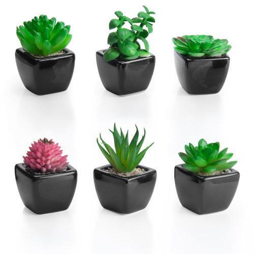 Artificial Succulent Plants in Black Ceramic Pots, Set of 6 - MyGift