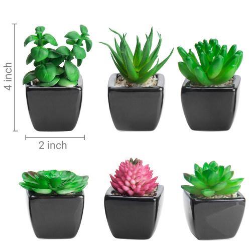 Artificial Succulent Plants in Black Ceramic Pots, Set of 6 - MyGift
