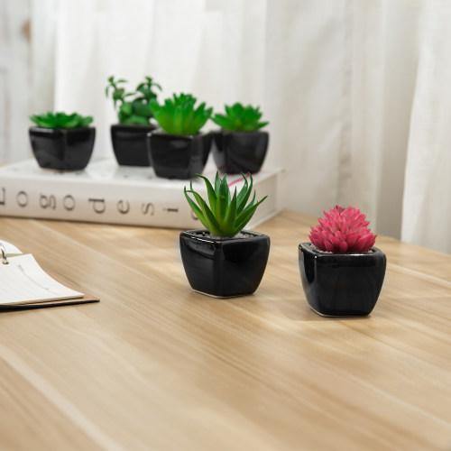 Artificial Succulent Plants in Black Ceramic Pots, Set of 6 - MyGift
