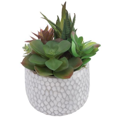 Artificial Succulent Plants in Dimpled Cement Planter-MyGift