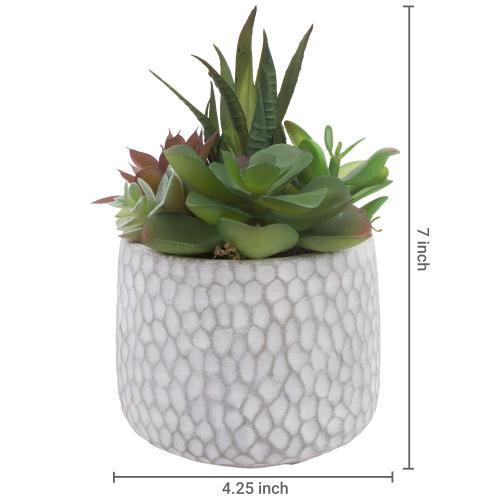 Artificial Succulent Plants in Dimpled Cement Planter-MyGift