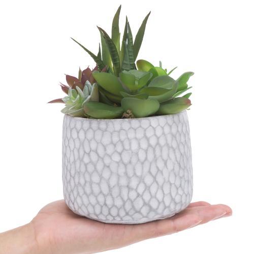 Artificial Succulent Plants in Dimpled Cement Planter-MyGift