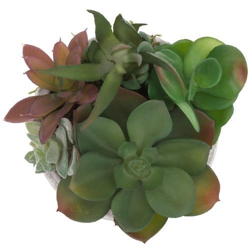 Artificial Succulent Plants in Dimpled Cement Planter-MyGift