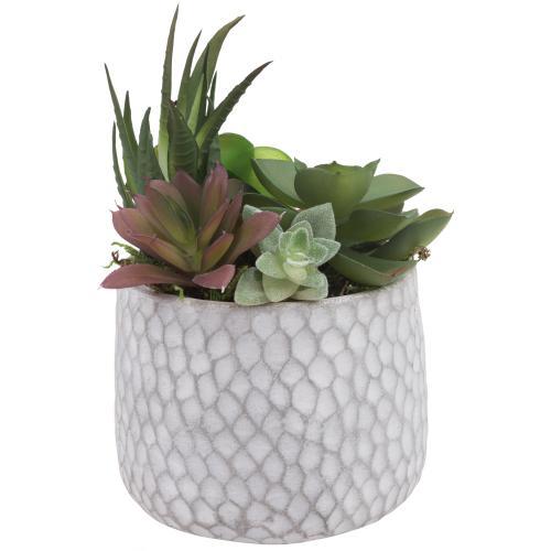 Artificial Succulent Plants in Dimpled Cement Planter-MyGift
