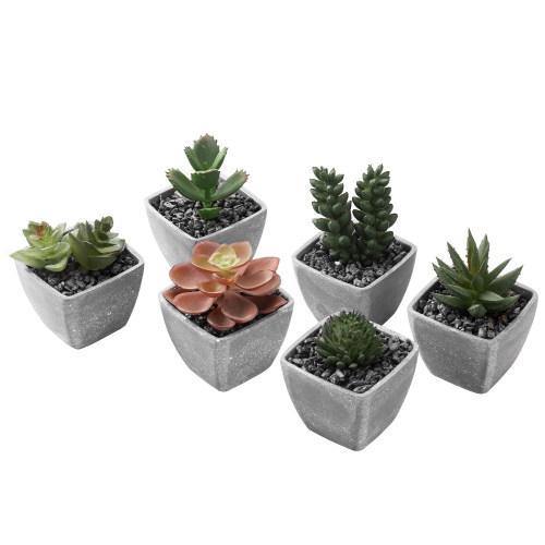Artificial Succulent Plants in Gray Melamine Pots, Set of 6 - MyGift