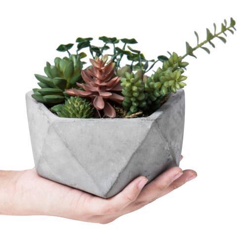 Artificial Succulents in Hexagon Cement Planter - MyGift