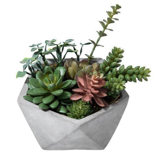 Artificial Succulents in Hexagon Cement Planter - MyGift