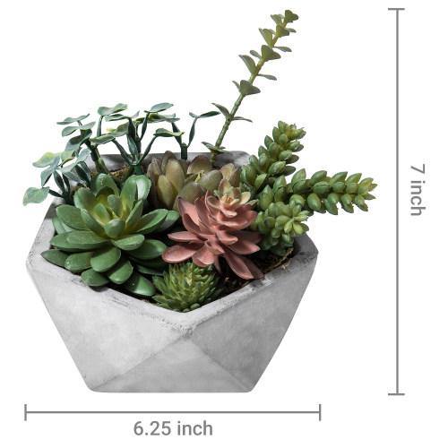 Artificial Succulents in Hexagon Cement Planter - MyGift