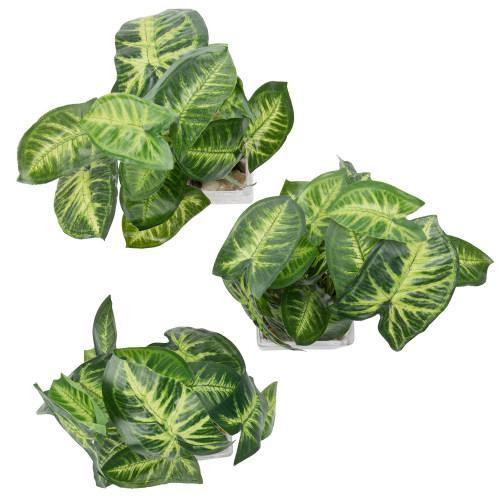 Artificial Taro Plants in Clear Vase with Decorative Stones, Set of 3 - MyGift