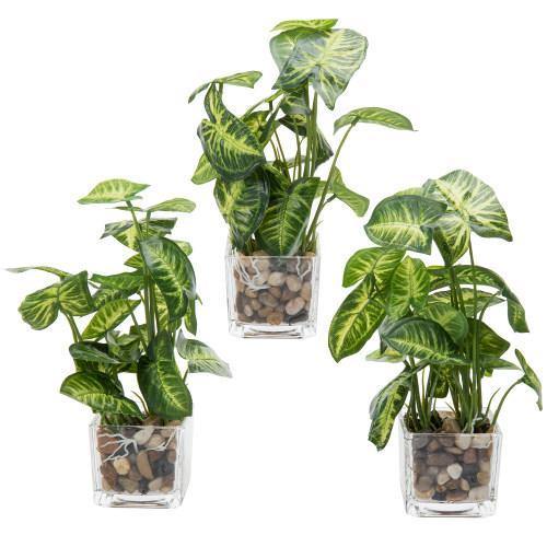 Artificial Taro Plants in Clear Vase with Decorative Stones, Set of 3 - MyGift