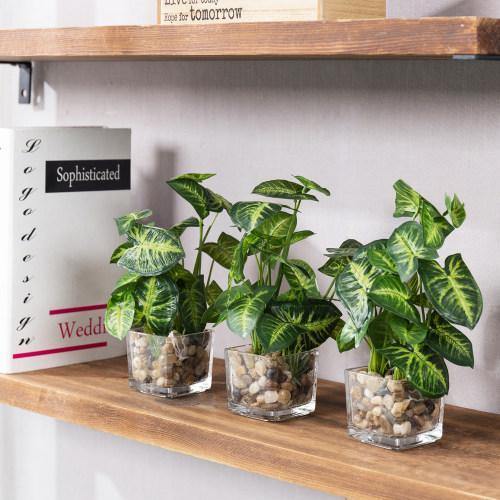 Artificial Taro Plants in Clear Vase with Decorative Stones, Set of 3 - MyGift