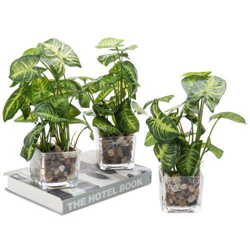 Artificial Taro Plants in Clear Vase with Decorative Stones, Set of 3 - MyGift