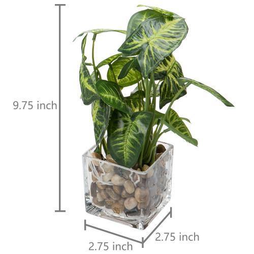 Artificial Taro Plants in Clear Vase with Decorative Stones, Set of 3 - MyGift