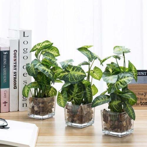 Artificial Taro Plants in Clear Vase with Decorative Stones, Set of 3 - MyGift