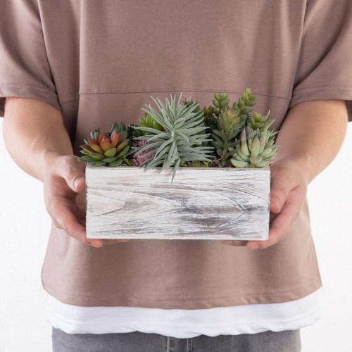 Assorted Artificial Succulents in Vintage Light Gray Wood Planter Box-MyGift
