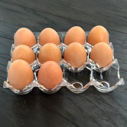 Clear Acrylic 12 Egg Tray Storage Rack - MyGift
